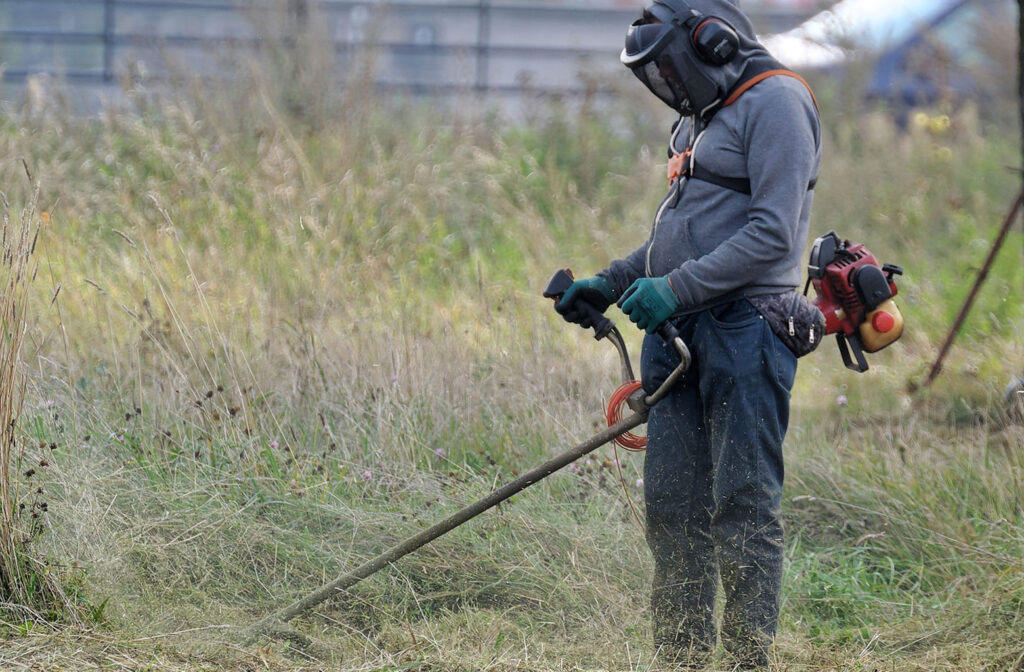 Guidelines for the proper management of vegetation within land plots