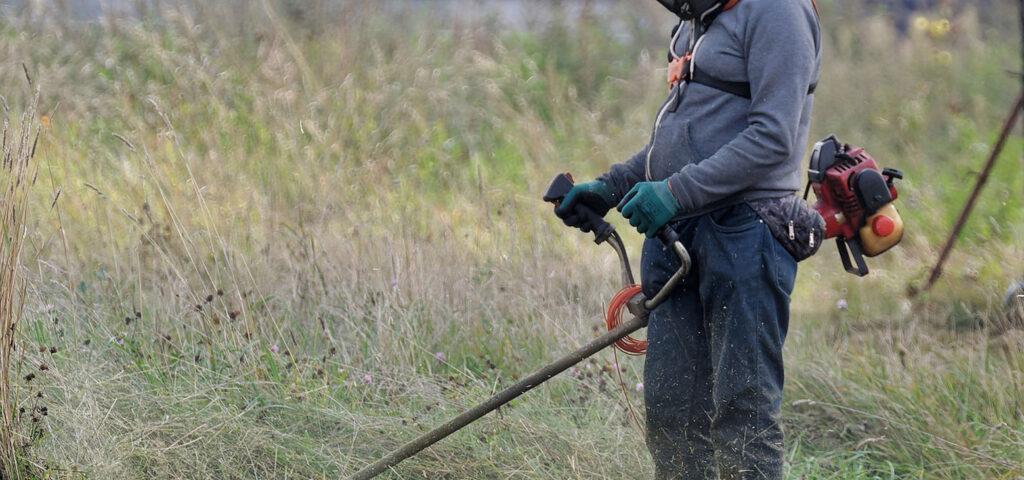 Οδηγίες για τη σωστή διαχείριση βλάστησης εντός οικοπέδων Οδηγίες για τη σωστή διαχείριση βλάστησης εντός οικοπέδων