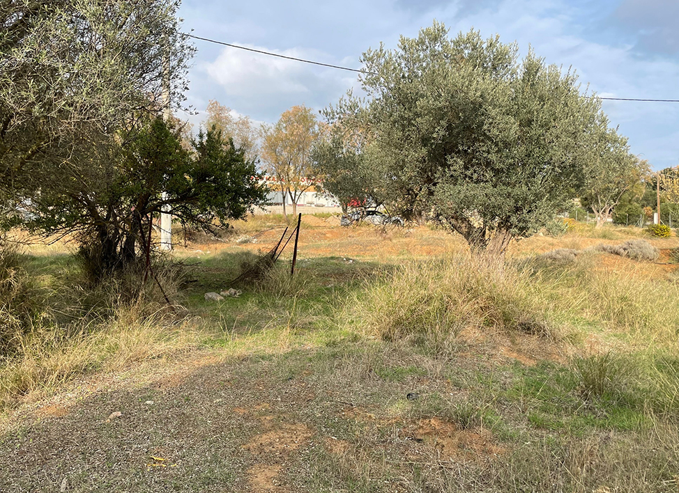 Πρόταση για να ξεμπλοκάρουν τα εξ' αδιαιρέτου οικόπεδα