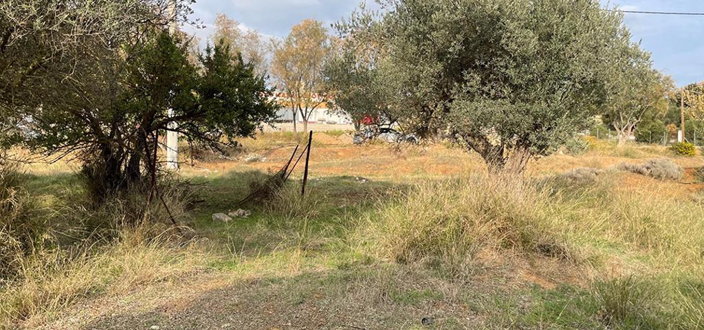 Another building permit revoked by the Council of State Another building permit revoked by the Council of State