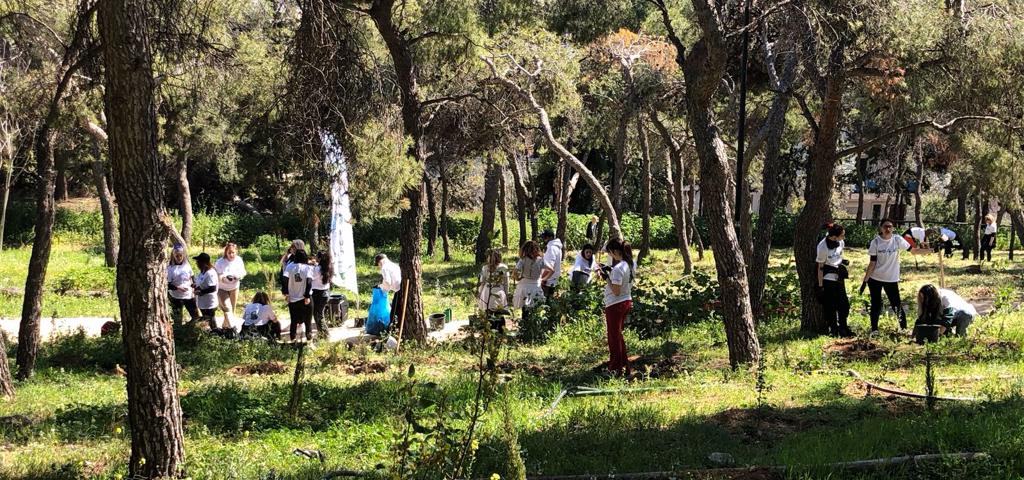 Συνεχίζονται οι δεντροφυτεύσεις σε Λυκαβηττό και Στρέφη Συνεχίζονται οι δεντροφυτεύσεις σε Λυκαβηττό και Στρέφη