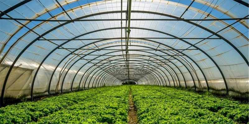 Smart greenhouses: The future of Greek agriculture