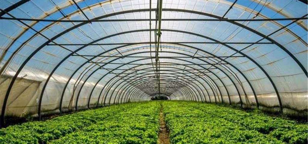 Smart greenhouses: The future of Greek agriculture Smart greenhouses: The future of Greek agriculture
