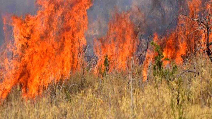 Νωρίτερα στην Ελλάδα απο τις Βρυξέλλες ο Πρωθυπουργός λόγω των πυρκαγιών 