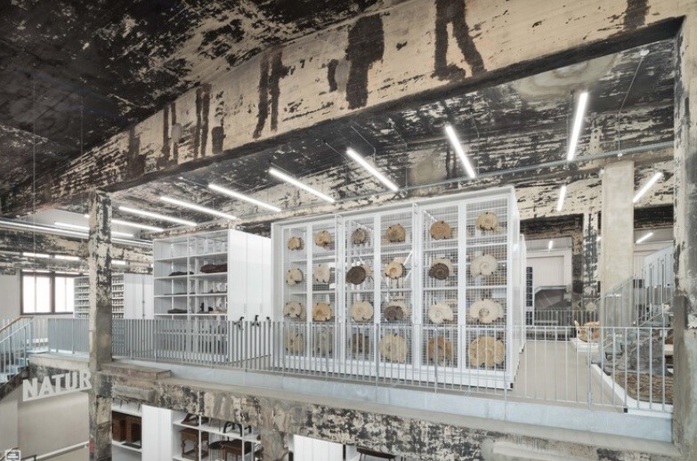 salt factory2.jpg