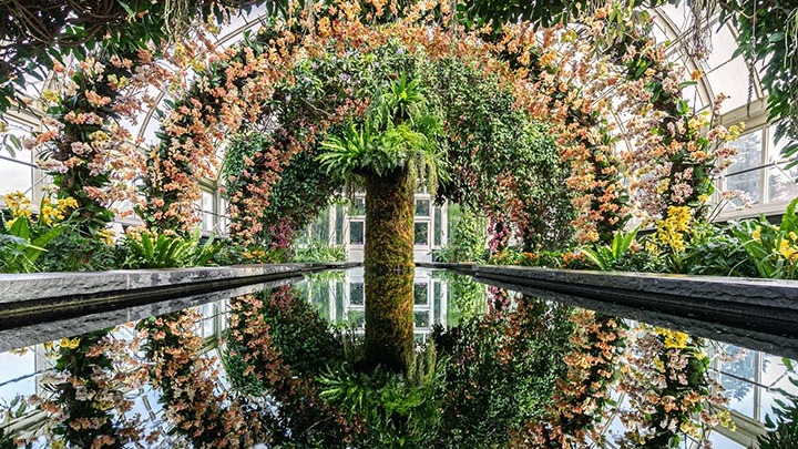 Εντυπωσιάζει η έκθεση ορχιδέας στο Βοτανικό Κήπο της Νέας Υόρκης 
