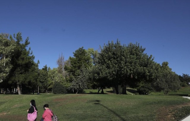  Πάρκο 60 στρεμ. δημιουργεί ο Δήμος Παλλήνης